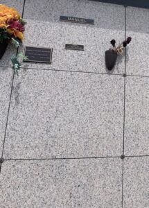 Plaza VIII - Single Space-image