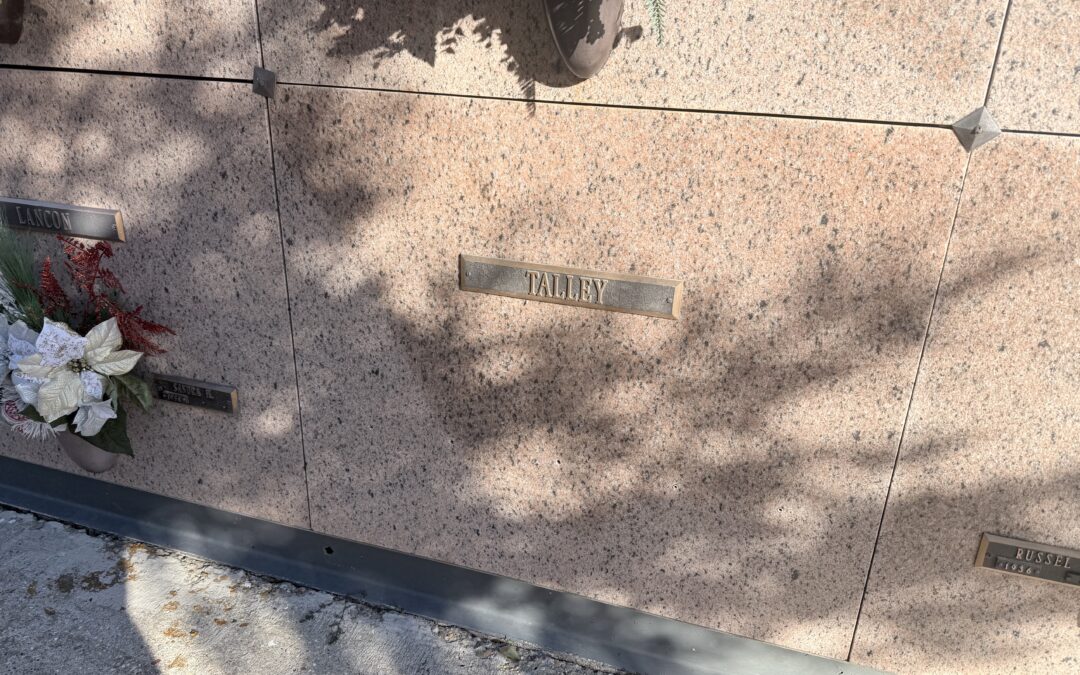 Plaza I – Double Space